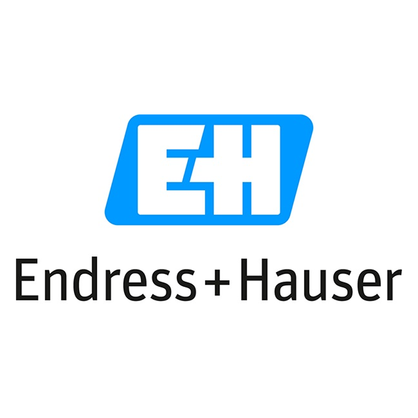 ENDRESS+HAUSER
